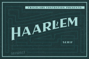 Haarlem Serif: A Font for Creative Makers
