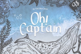 Oh Captain: A Bold Display Font
