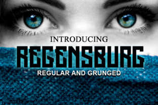 Regensburg: A Bold Display Font