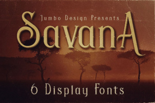 Savana: A Retro Font for Business Branding