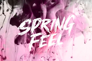 Springfeel: A Dynamic Display Font