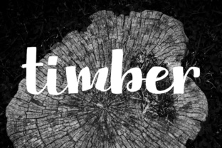 Timber: A Font for Business Style